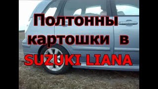 Перевозим полтонны (500килограмм) картошки в SUZUKI LIANA/ Сузуки Лиана Универсал.