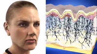 Sâm Angela Gold - Cấu trúc nền của da, yếu tố quyết định vẻ đẹp làn da