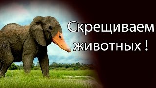 Скрещиваем животных ! ( Hybrid Animals )