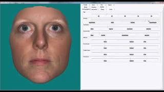 Introducing FaceGen Artist