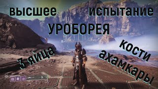 DESTINY 2 . Высшее испытание - Уроборея . Кости и яйца .