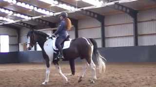 Clinic Anja Beran Callantsoog 2015 (Rider: Monique, Horse: James Bont)