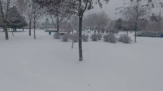 Запорожье ОНИ ПОВСЮДУ 01.02.2023