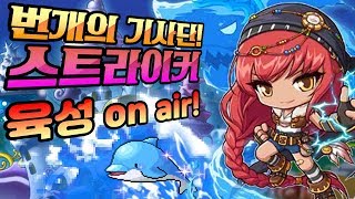 [한자방송] 상어...ㅠㅠㅠㅠㅠㅠㅠㅠㅠ 2020/2/17 저녁 9:35 [자유생방송]