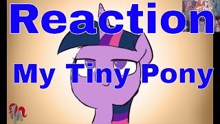 Reaction My Tiny Pony