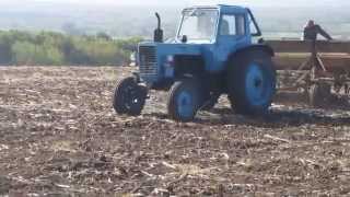 Посев озимой пшеницы, трактор МТЗ-80, сеялка СЗ 3.6, Т-28, 2птс4! Посевная 2015!