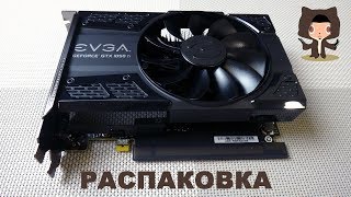 EVGA GeForce GTX 1050 Ti SC GAMING - Распаковка видеокарты