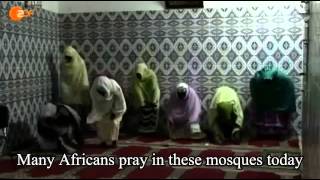 Muslim Mass Castration of Black African Slaves   Tidiane N´Diaye   YouTube