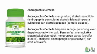 Pelindung Lever Terbaik | ANDROGRAPHIS CENTELLA | HNI-HPAI