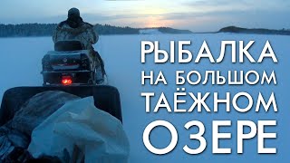 РЫБАЛКА НА БОЛЬШОМ ТАЕЖНОМ ОЗЕРЕ