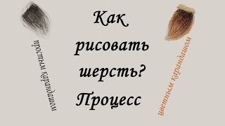 Как РИСОВАТЬ ШЕРСТЬ цветными и простыми карандашами ПРОЦЕСС