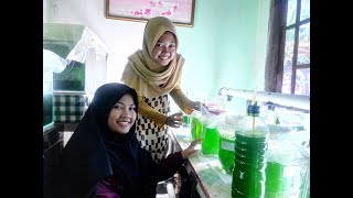 Kultur mikroalga atau Phytoplankton teman2 UNNES,*Ugoplanktonshop*