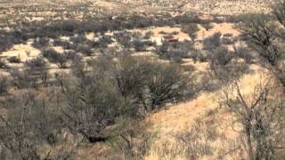 Lo que pasa en la frontera de Arizona