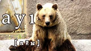 Азербайджанский язык, животные -  heyvanlar - www.az-love.com