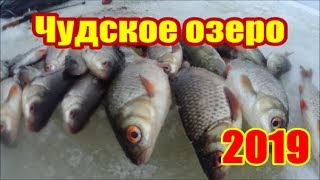 Чудское озеро 2019  Чудо Ветвенник  Peipsi Lake  Штрафы Мчс ПОГРАНЦЫ выгнали с озера