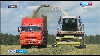 Марий эл увер 31 07 2018