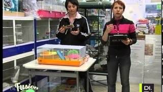 Di.Fusion Pets - Piccoli roditori