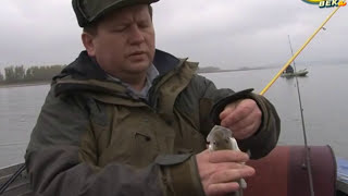 Рыбалка на Дону.  Рыбалка на Дону с Алексеем Чернушенко.