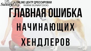 Как испортить собаку. Главная ошибка хендлеров.