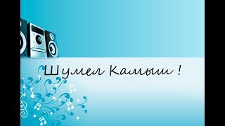 Шумел Камыш ! (САМЫЕ ЛУЧШИЕ КАРАОКЕ 80/90Х)!