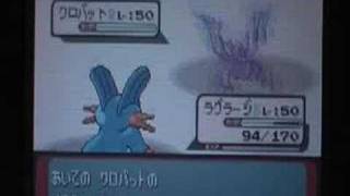 ポケットモンスターエメラルドバトルファクトリー戦　vsダツラ（金シンボル）