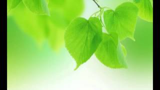 спа: тантрический массаж, тайский массаж, Zen Music, Zen Spa