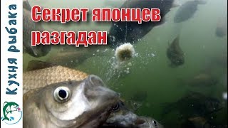 Рецепт теста херабуна. Рыба бросается на крючок сама.