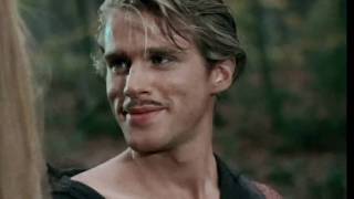 The Princess Bride - Westley - The Most Beautiful Man In The World?