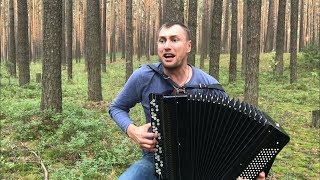 БАЯНИСТ РВЁТ ДУШУ Хит группы "Король и Шут" -  Лесник на баяне