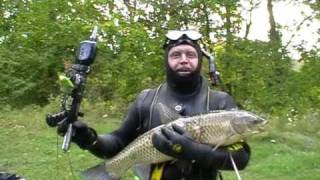 White Amur 9.1 kg. Белый Амур 9,1 кг.