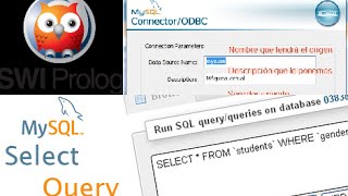 Prolog Bases de Datos SWI Prolog MySQL Consultas Select