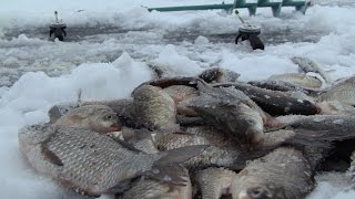 Зимняя рыбалка 2016-2017 открытие сезона(Дневник рыболова)