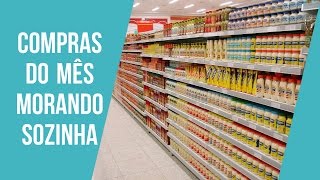 DIA DE COMPRAS NO MERCADO | COMPRAS DO MÊS MORANDO SOZINHA