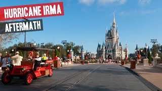 Magic Kingdom Hurricane Irma Aftermath & Update (Low Crowds, Damaged Tree's & More) | BrandonBlogs