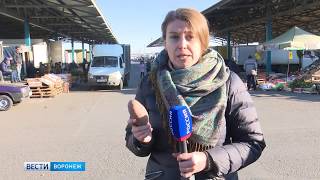 В Воронежской области продовольственный картофель исследуют на наличие карантинных объектов