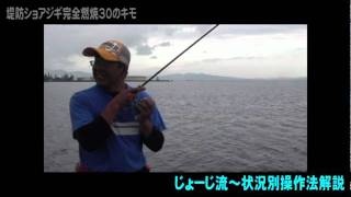 堤防ショアジギ完全燃焼：じょーじ流～状況別操作法解説