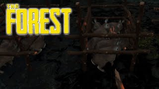 The Forest - Епизод #23 - Слагаме осветление