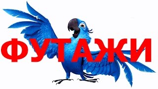 С ПРАЗДНИКОМ 8 МАРТА - ФУТАЖИ  ДЛЯ ВИДЕОМОНТАЖА