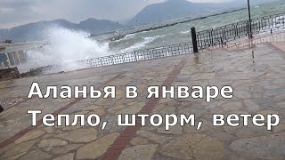 Аланья зимой ветер шторм, но ТЕПЛО, продолжаем гулять 24 января
