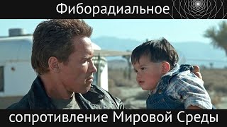 Беседа 03ноя2019 Фиборадиальное сопротивление Мировой Среды ч.1-3