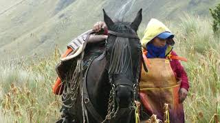 Aventura Ecuador - Cabalgata a El Altar