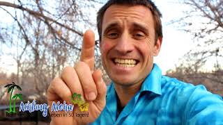 Achtung Aloha! Mehr Freude am Leben in 30 Tagen! TAG 13