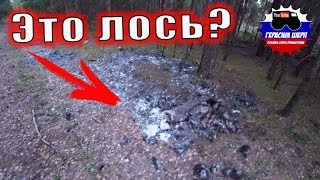 Коп по реке вторая попытка! Вскрываем бобровые плотины! Нашли запчасти от ЛОСЯ!
