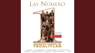 Jarabe Tapatio