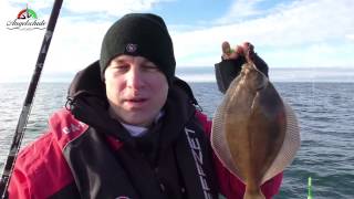 Angeln im Meer - Naturköderangeln & Trolling auf der Ostsee