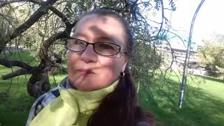 Мясная Промышленность * Пчеловодство*  на ВДНХ 2018