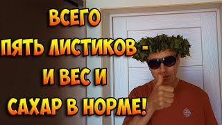 ВСЕГО ПЯТЬ ЛИСТИКОВ - И ВАШ ВЕС и САХАР В НОРМЕ! ИДЕАЛЬНЫЙ ЗАВТРАК! Виталий Островский. Формула 73