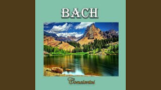 Brandenburg Concerto No. 3 in G Major, BWV 1048: I. Allegro - Adagio