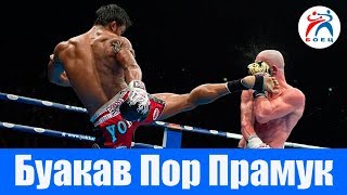 Король Муай Тай Буакав Пор Прамук. Великий Тайский Боксер.