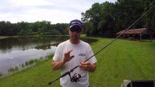 Intricate Bass Fishing Using the Ned Rig - KastKing